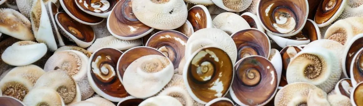 Seopjikoji haenyeo-themed restaurant and cafe