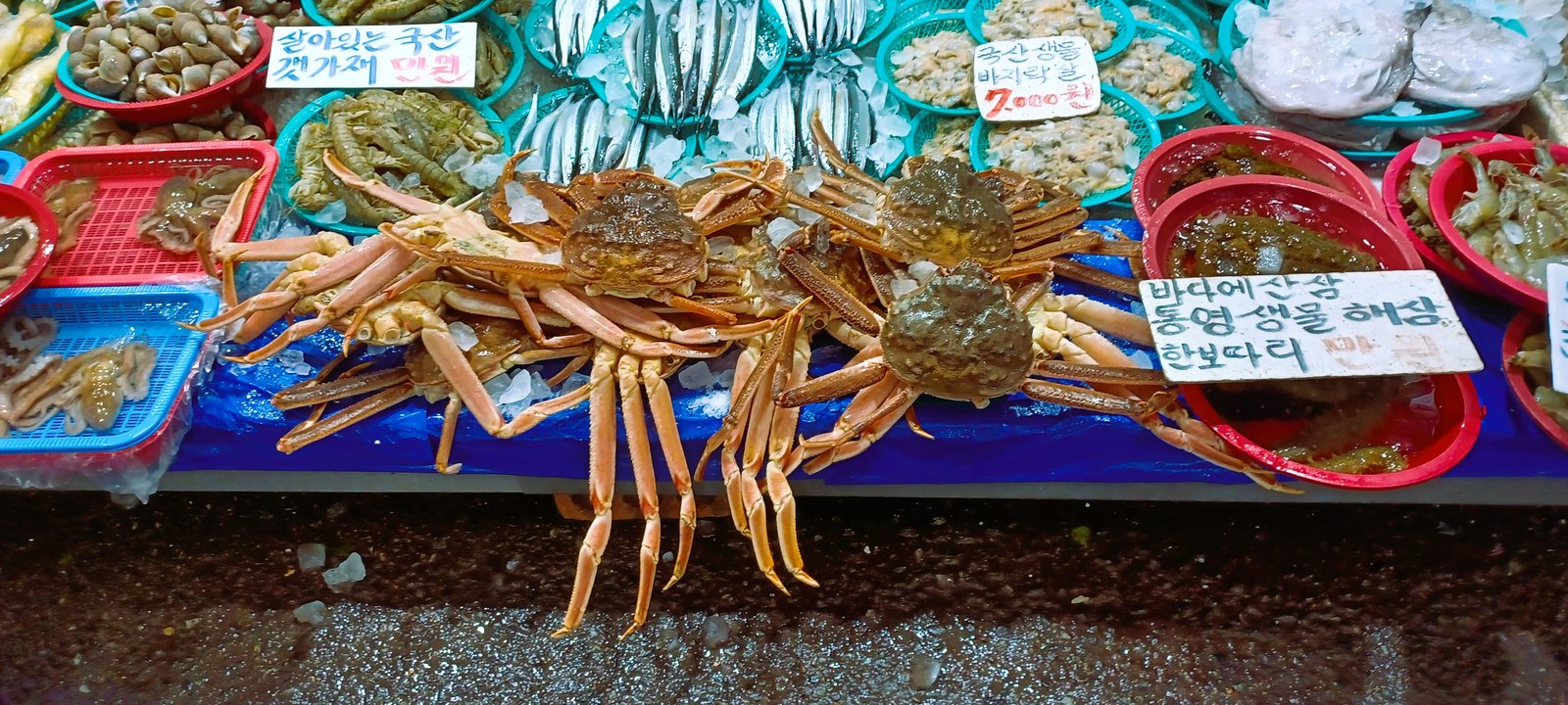 Seoul Night Markets 2026: 7 Best to Visit After Dark