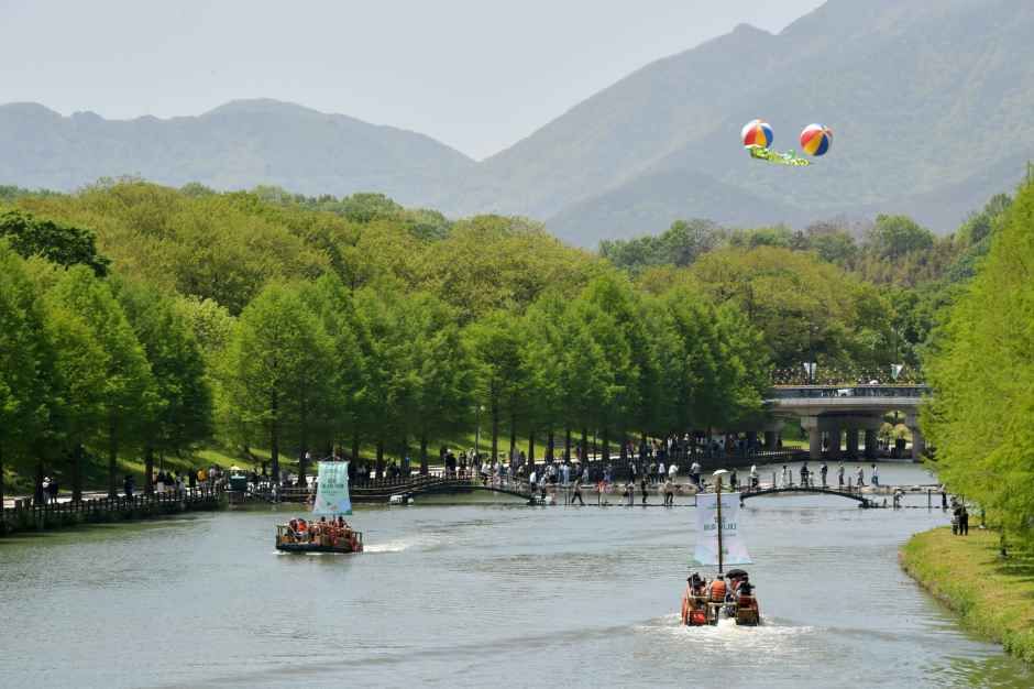 Damyang Bamboo Festival 2026: Dates, Juknokwon & Complete Guide