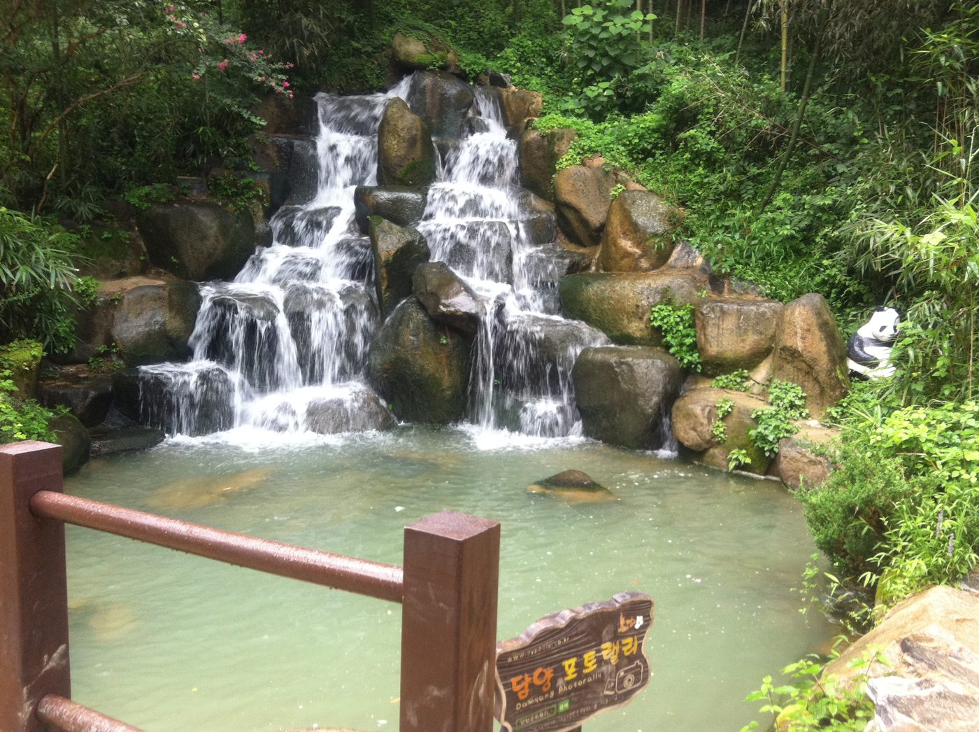 Juknokwon bamboo forest walking path in Damyang