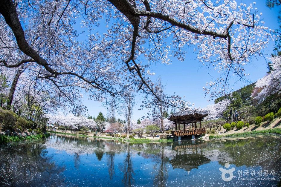 Restaurants Near Bomun Lake — Complete Directory (2026)