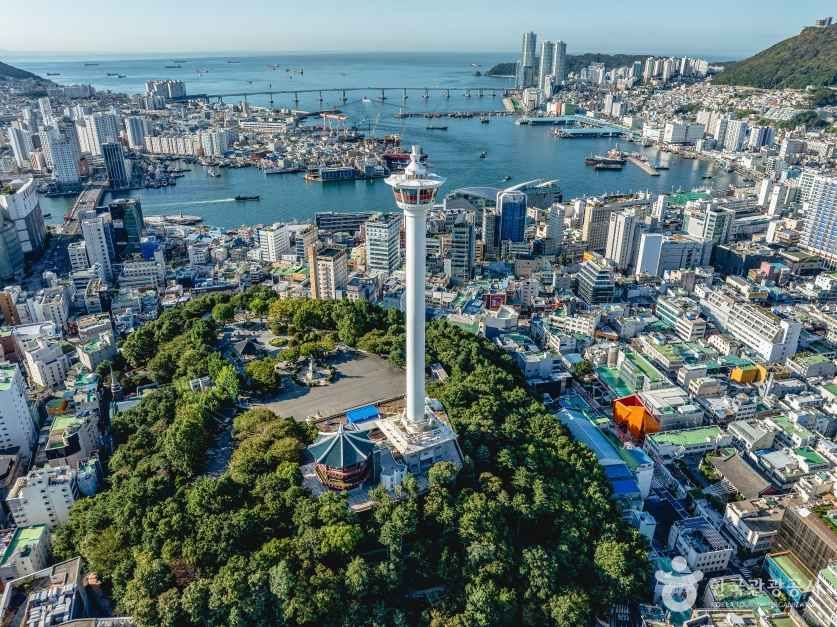 Nampo-dong & Jagalchi Food Guide — Complete Directory (2026)