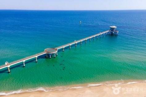 Gangneung Travel Guide: Coffee Capital, Beaches & East Coast Culture (2026)