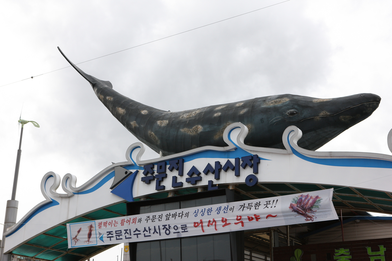 Jumunjin Fish Market — fresh seafood stalls with crabs, fish, and sashimi