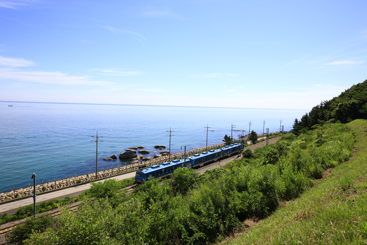 Gangwon coastal tourist train running along the East Sea shoreline