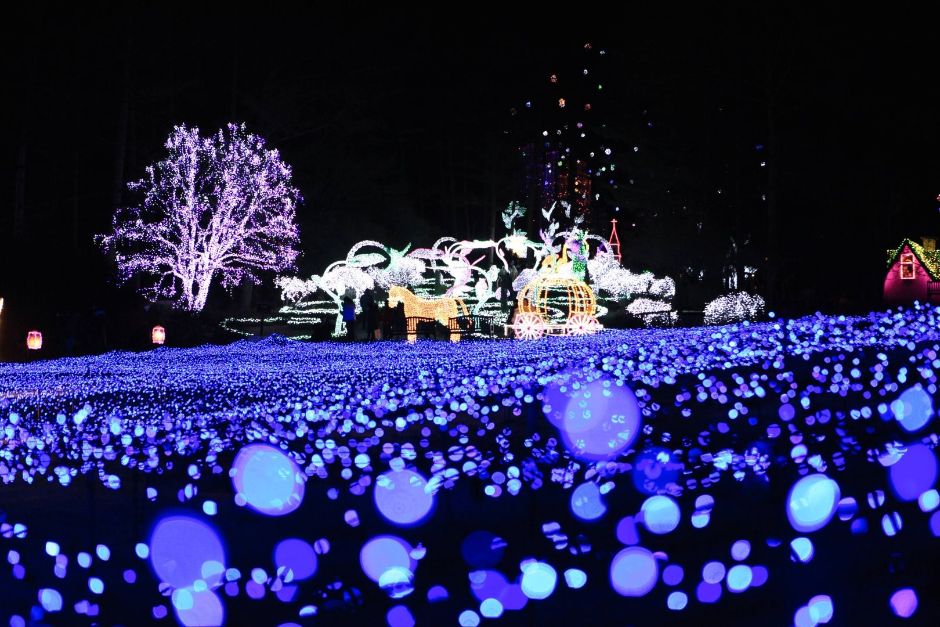 LED light tunnel at Garden of Morning Calm Lighting Festival