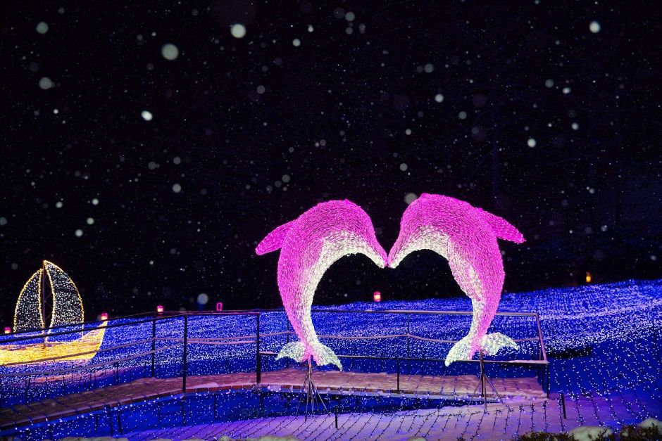 Illuminated forest trees at Garden of Morning Calm