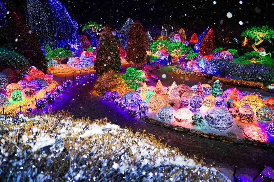 Garden of Morning Calm Lighting Festival 2026: Complete Guide (Dates, Tours, Tickets)