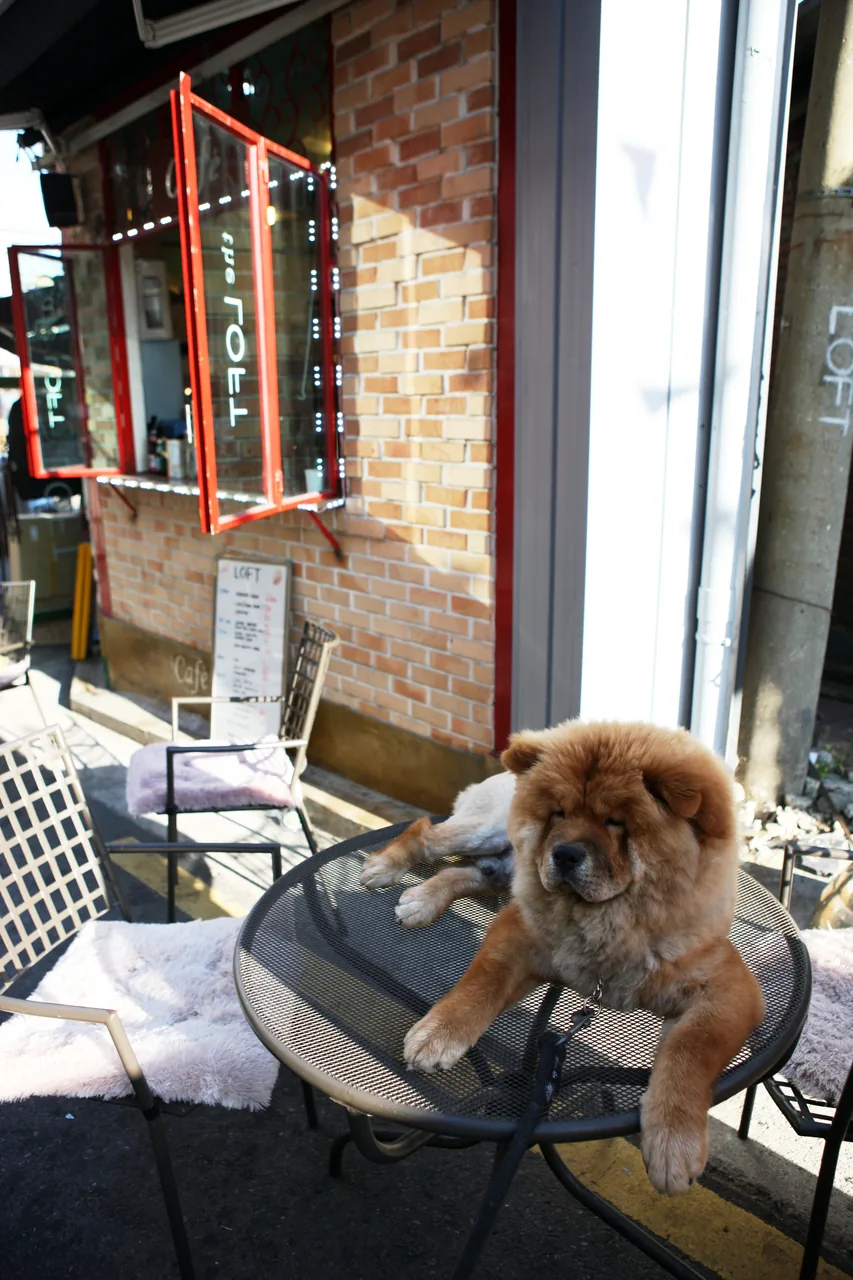 Best Restaurants in Itaewon — Complete Directory (2026)