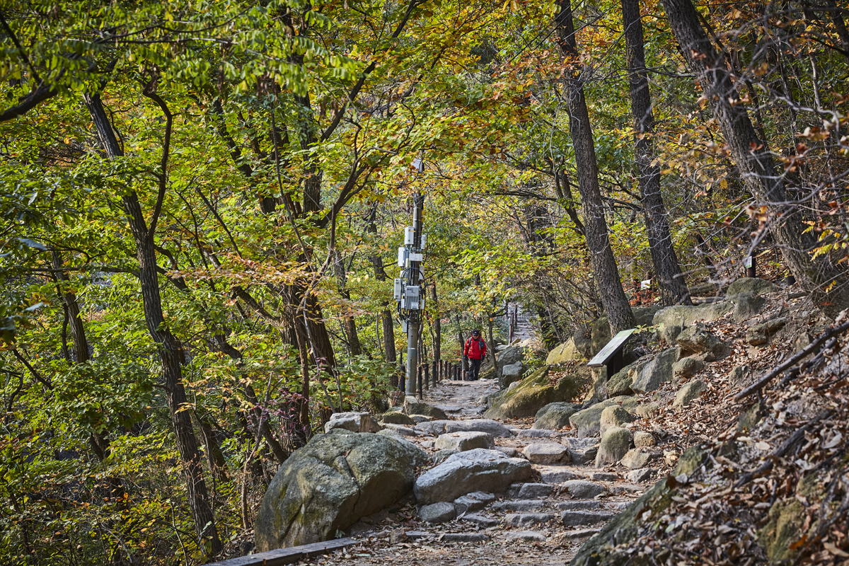 Is South Korea Safe? What Travelers Actually Need to Know (2026)