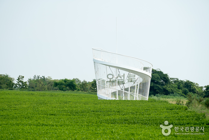 O'sulloc green tea field with the white spiral Innisfree Jeju House structure