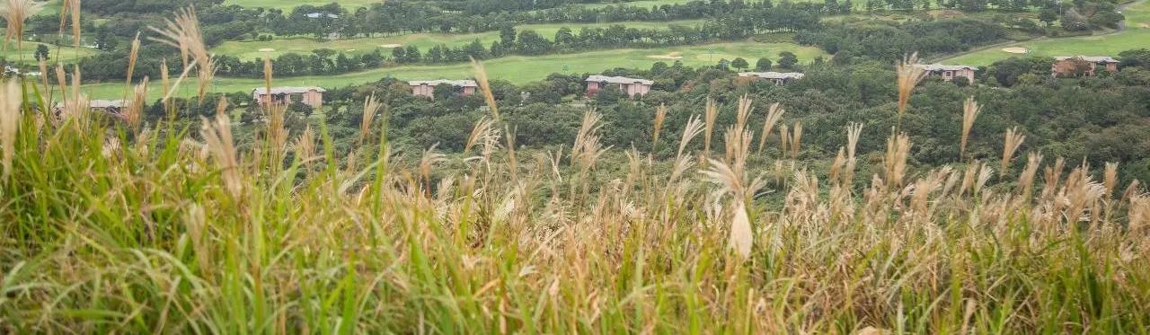 Saebyeol Oreum grass-covered cone