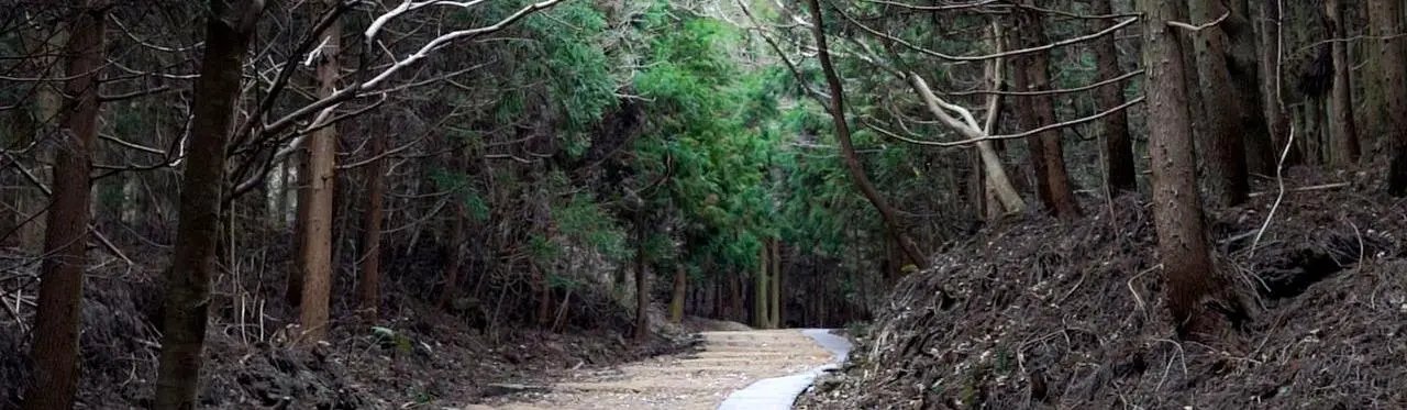 Geomun Oreum forested UNESCO heritage area