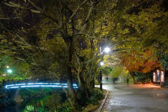 Cheonjeyeon Falls upper tier