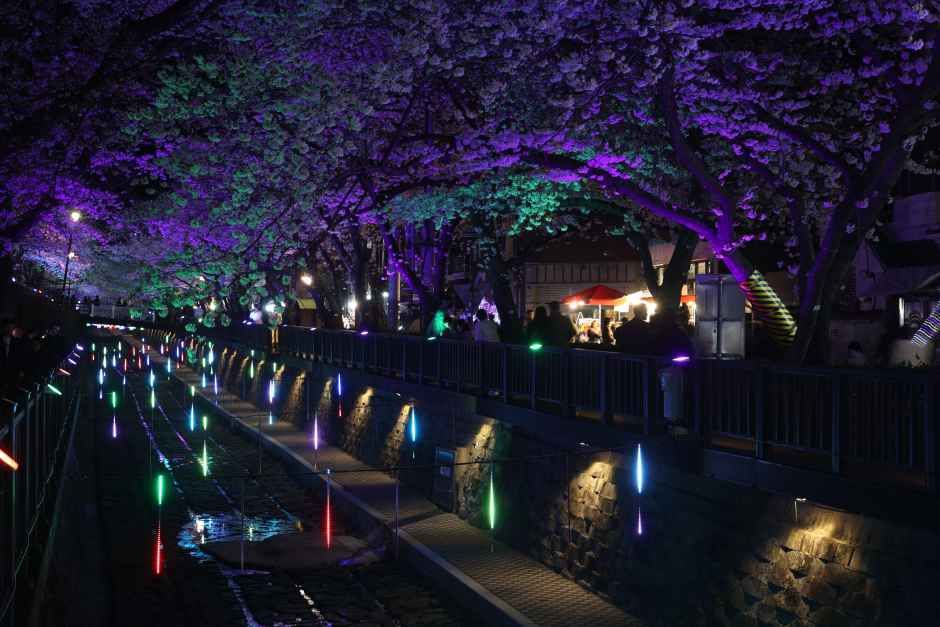 Jinhae Gunhangje Festival main parade and crowds