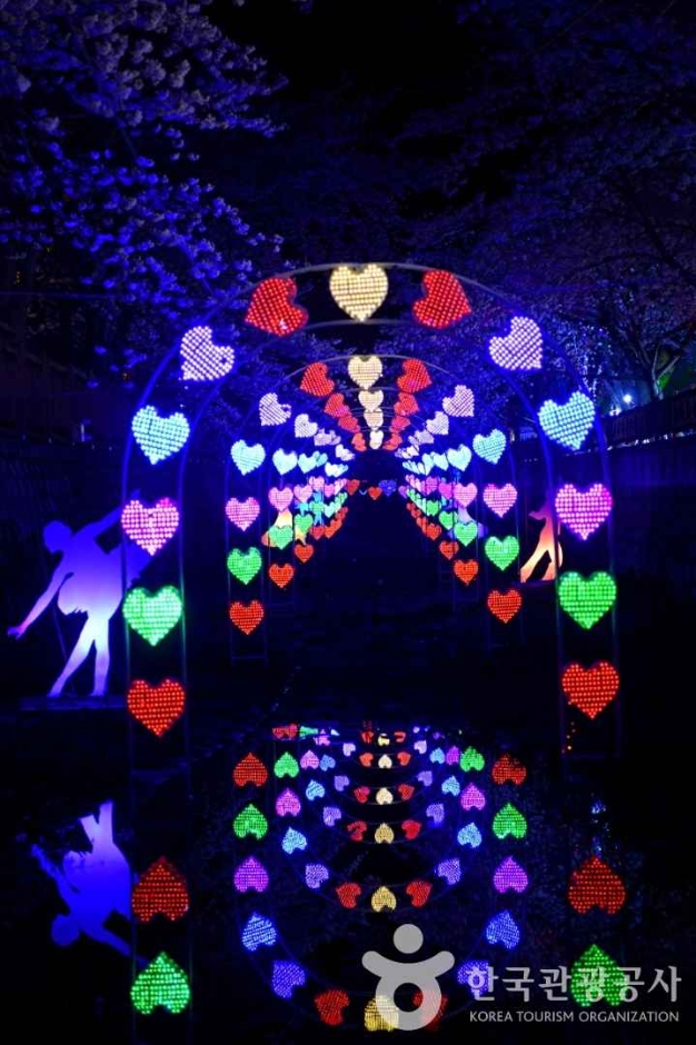 Yeojwacheon Stream cherry blossoms with Romance Bridge