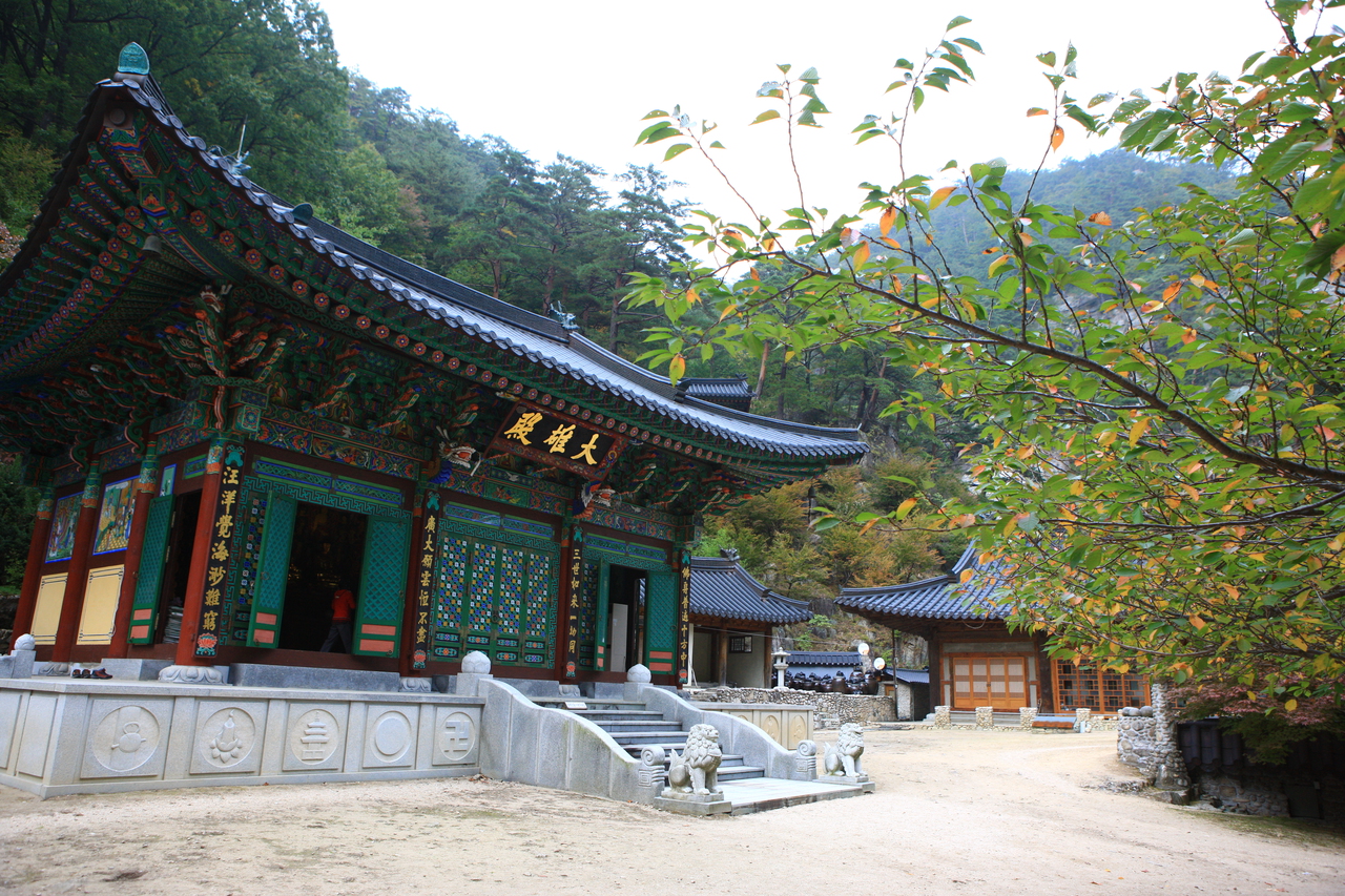 Korea Autumn Foliage 2026: When & Where to See Fall Colors (Complete Guide)