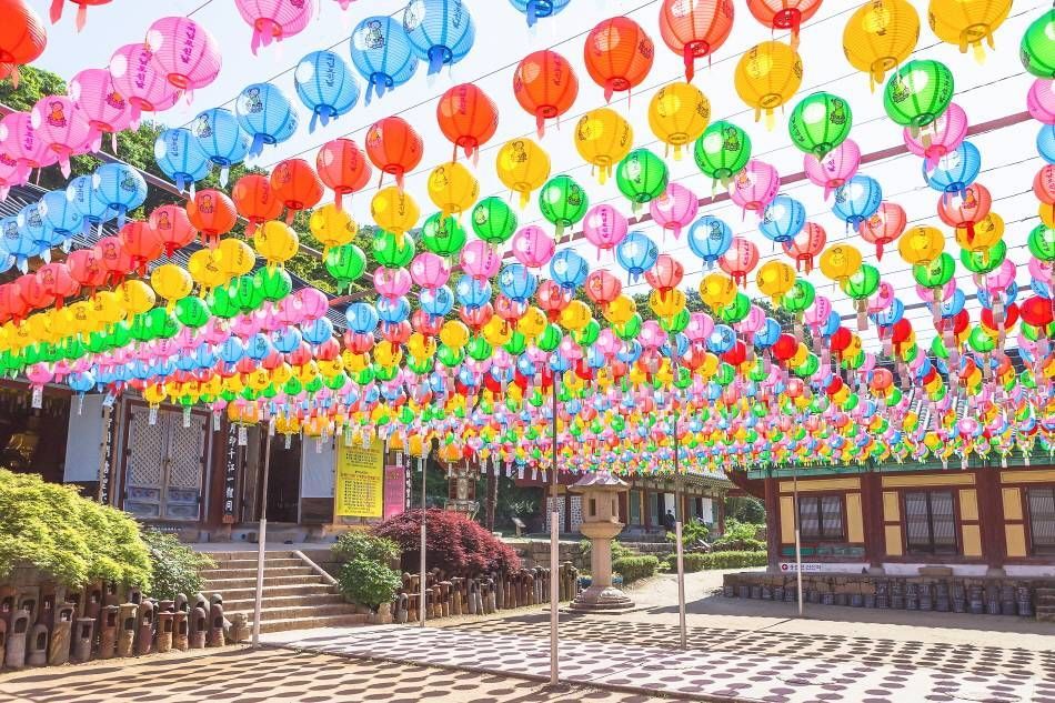 Korea Buddha's Birthday & Lotus Lantern Festival 2026: Complete Guide