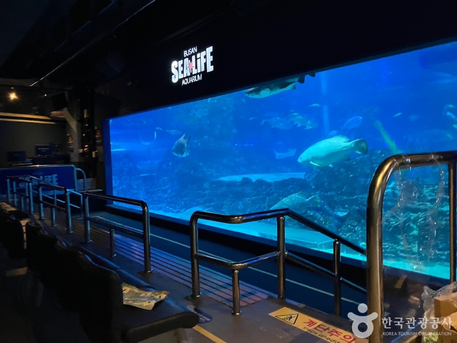 SEA LIFE Busan Aquarium marine exhibits at Haeundae Beach
