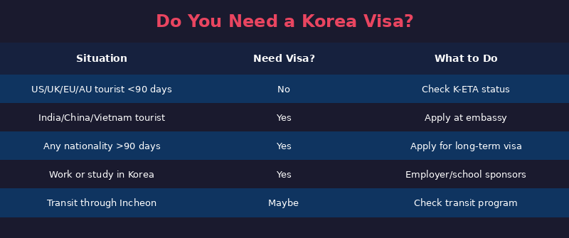 Korea visa decision chart infographic