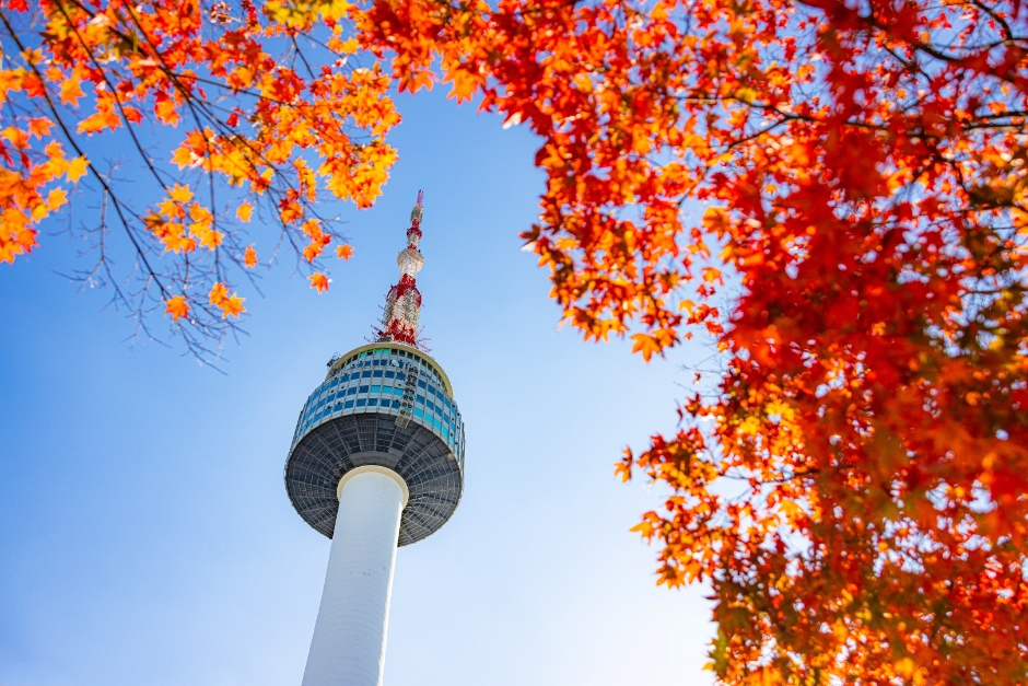 N Seoul Tower on Namsan framed by autumn maple leaves
