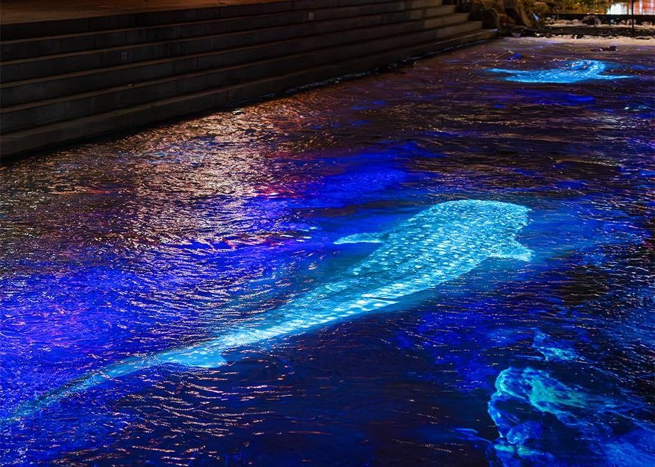 Seoul Lantern Festival 2026: Complete Guide (Dates, Location, Tips)