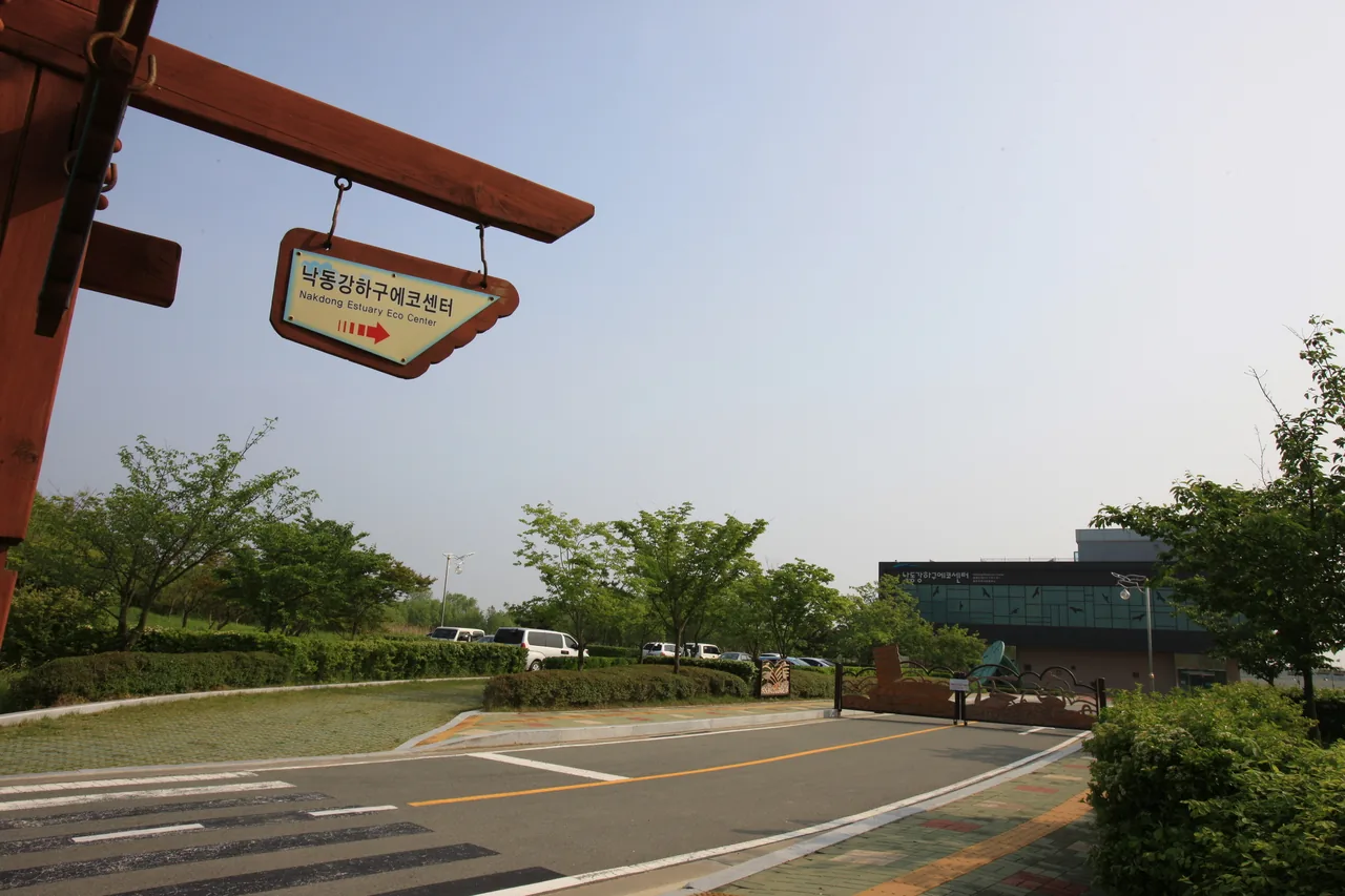 Seoul vs Busan: Which Should You Visit? (Honest 2026 Comparison)
