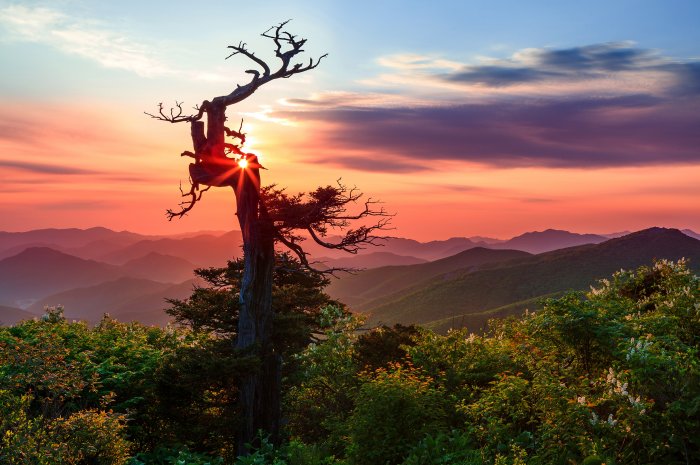 Cheonjedan Heaven Altar at Taebaeksan summit