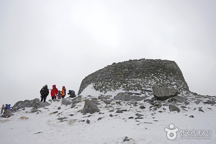 Snow-covered Taebaeksan park trees