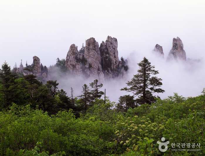 Things to Do in Gangwon-do — Mountains, Beaches & Ski (2026)