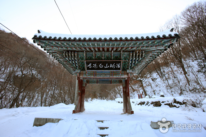 Where to Stay for the Muju Firefly Festival 2026 (English Booking Guide)